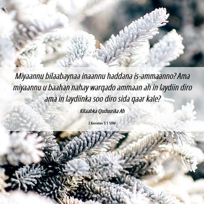 Picture 06 - 2 Korintos 3:1 SOM - Miyaannu bilaabaynaa inaannu haddana is-ammaanno? - Bible Verse Picture