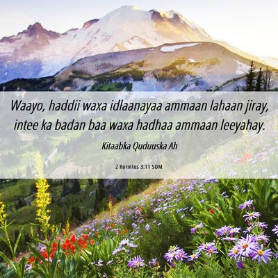 Picture 06 - 2 Korintos 3:11 SOM - Waayo, haddii waxa idlaanayaa ammaan lahaan - Bible Verse Picture