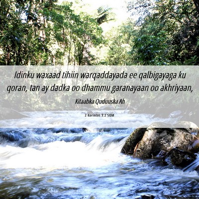 Picture 06 - 2 Korintos 3:2 SOM - Idinku waxaad tihiin warqaddayada ee qalbigayaga - Bible Verse Picture