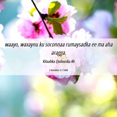 Picture 06 - 2 Korintos 5:7 SOM - waayo, waxaynu ku soconnaa rumaysadka ee ma aha - Bible Verse Picture