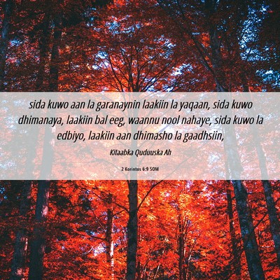 Picture 06 - 2 Korintos 6:9 SOM - sida kuwo aan la garanaynin laakiin la yaqaan, - Bible Verse Picture