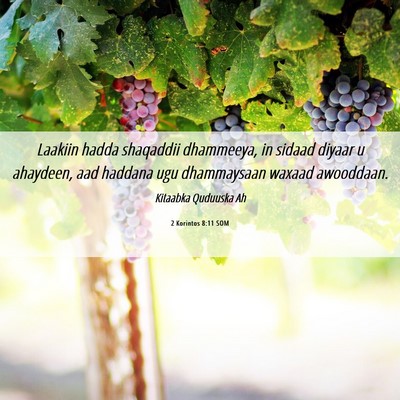 Picture 06 - 2 Korintos 8:11 SOM - Laakiin hadda shaqaddii dhammeeya, in sidaad - Bible Verse Picture