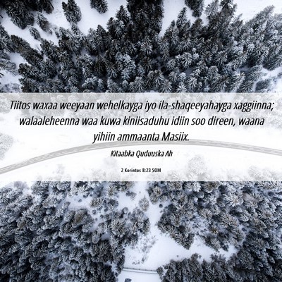 Picture 06 - 2 Korintos 8:23 SOM - Tiitos waxaa weeyaan wehelkayga iyo - Bible Verse Picture