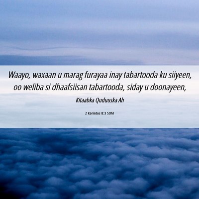 Picture 06 - 2 Korintos 8:3 SOM - Waayo, waxaan u marag furayaa inay tabartooda ku - Bible Verse Picture