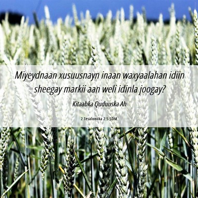 Picture 06 - 2 Tesaloniika 2:5 SOM - Miyeydnaan xusuusnayn inaan waxyaalahan idiin - Bible Verse Picture