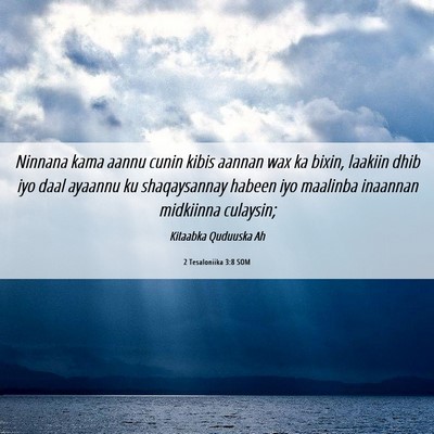 Picture 06 - 2 Tesaloniika 3:8 SOM - Ninnana kama aannu cunin kibis aannan wax ka - Bible Verse Picture