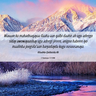 Picture 06 - 2 Timoteyos 1:3 SOM - Waxaan ku mahadnaqayaa Ilaaha aan qalbi daahir ah - Bible Verse Picture