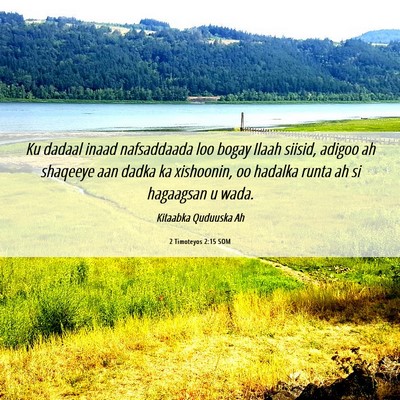 Picture 06 - 2 Timoteyos 2:15 SOM - Ku dadaal inaad nafsaddaada loo bogay Ilaah - Bible Verse Picture