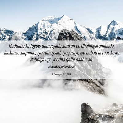 Picture 06 - 2 Timoteyos 2:22 SOM - Haddaba ka fogow damacyada xunxun ee - Bible Verse Picture