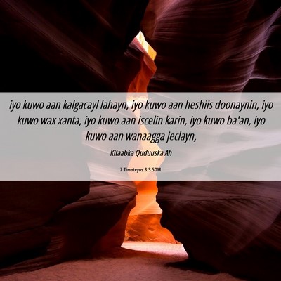 Picture 06 - 2 Timoteyos 3:3 SOM - iyo kuwo aan kalgacayl lahayn, iyo kuwo aan - Bible Verse Picture