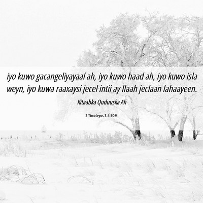 Picture 06 - 2 Timoteyos 3:4 SOM - iyo kuwo gacangeliyayaal ah, iyo kuwo haad ah, - Bible Verse Picture