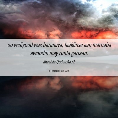Picture 06 - 2 Timoteyos 3:7 SOM - oo weligood wax baranaya, laakiinse aan marnaba - Bible Verse Picture