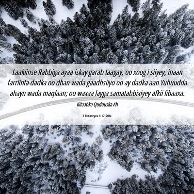 Picture 06 - 2 Timoteyos 4:17 SOM - Laakiinse Rabbiga ayaa iskay garab taagay, oo - Bible Verse Picture