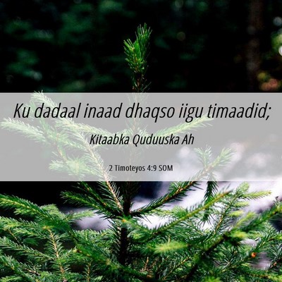 Picture 06 - 2 Timoteyos 4:9 SOM - Ku dadaal inaad dhaqso iigu - Bible Verse Picture