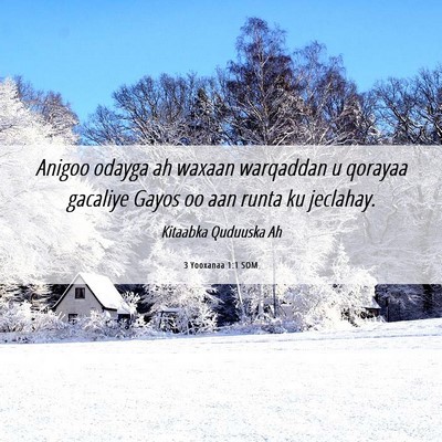 Picture 06 - 3 Yooxanaa 1:1 SOM - Anigoo odayga ah waxaan warqaddan u qorayaa - Bible Verse Picture