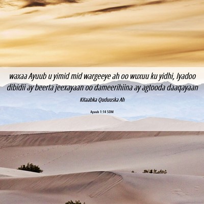 Picture 06 - Ayuub 1:14 SOM - waxaa Ayuub u yimid mid wargeeye ah oo wuxuu ku - Bible Verse Picture