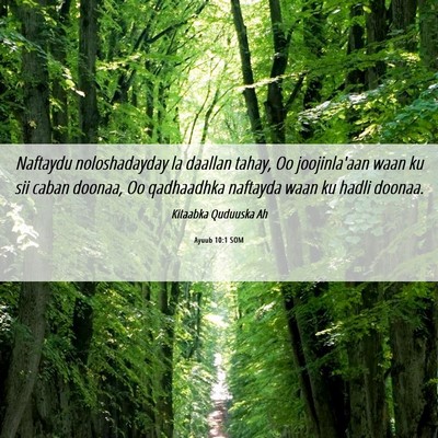 Picture 06 - Ayuub 10:1 SOM - Naftaydu noloshadayday la daallan tahay, Oo - Bible Verse Picture