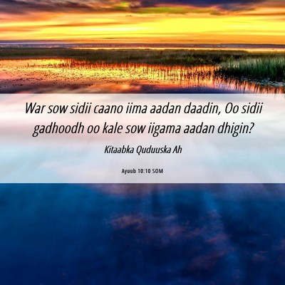 Picture 06 - Ayuub 10:10 SOM - War sow sidii caano iima aadan daadin, Oo sidii - Bible Verse Picture