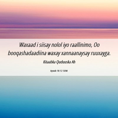 Picture 06 - Ayuub 10:12 SOM - Waxaad i siisay nolol iyo raallinimo, Oo - Bible Verse Picture