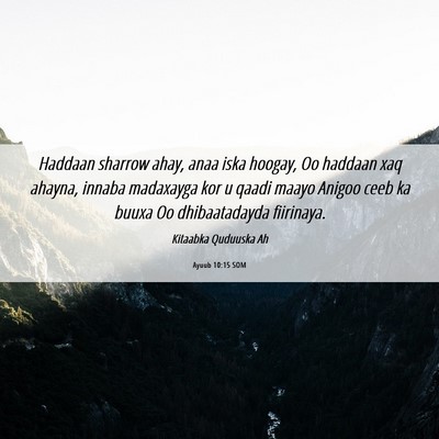 Picture 06 - Ayuub 10:15 SOM - Haddaan sharrow ahay, anaa iska hoogay, Oo - Bible Verse Picture