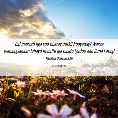 Picture 06 - Ayuub 10:18 SOM - Bal maxaad iiga soo bixisay uurkii hooyaday? - Bible Verse Picture