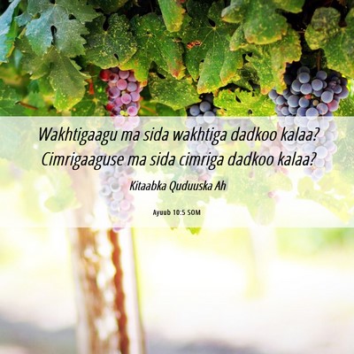 Picture 06 - Ayuub 10:5 SOM - Wakhtigaagu ma sida wakhtiga dadkoo kalaa? - Bible Verse Picture