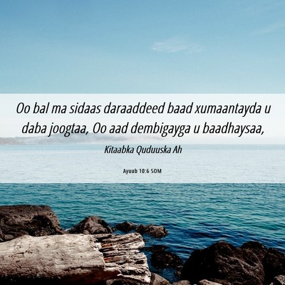Picture 06 - Ayuub 10:6 SOM - Oo bal ma sidaas daraaddeed baad xumaantayda u - Bible Verse Picture
