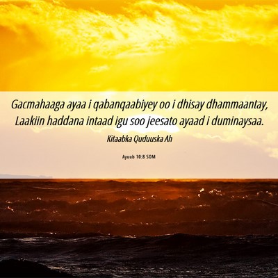 Picture 06 - Ayuub 10:8 SOM - Gacmahaaga ayaa i qabanqaabiyey oo i dhisay - Bible Verse Picture