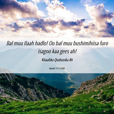 Picture 06 - Ayuub 11:5 SOM - Bal muu Ilaah hadlo! Oo bal muu bushimihiisa furo - Bible Verse Picture