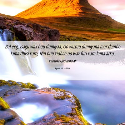 Picture 06 - Ayuub 12:14 SOM - Bal eeg, isagu wax buu dumiyaa, Oo wuxuu dumiyana - Bible Verse Picture
