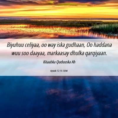 Picture 06 - Ayuub 12:15 SOM - Biyuhuu celiyaa, oo way iska gudhaan, Oo haddana - Bible Verse Picture