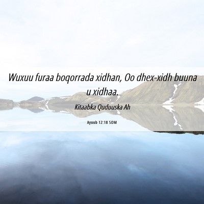 Picture 06 - Ayuub 12:18 SOM - Wuxuu furaa boqorrada xidhan, Oo dhex-xidh buuna - Bible Verse Picture