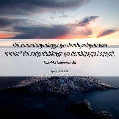 Picture 06 - Ayuub 13:23 SOM - Bal xumaatooyinkayga iyo dembiyadaydu waa immisa? - Bible Verse Picture