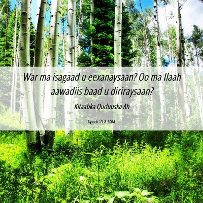 Picture 06 - Ayuub 13:8 SOM - War ma isagaad u eexanaysaan? Oo ma Ilaah - Bible Verse Picture