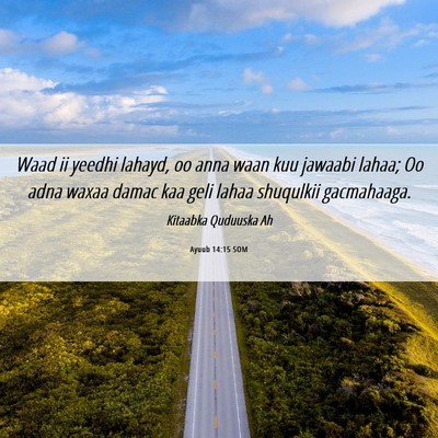 Picture 06 - Ayuub 14:15 SOM - Waad ii yeedhi lahayd, oo anna waan kuu jawaabi - Bible Verse Picture