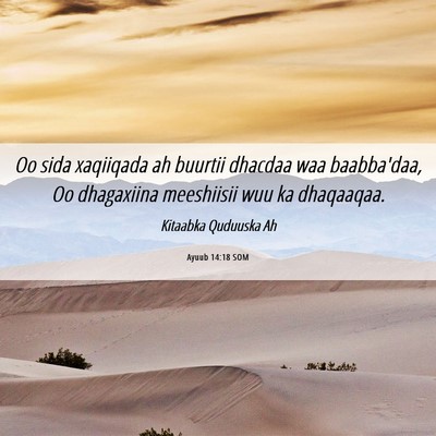 Picture 06 - Ayuub 14:18 SOM - Oo sida xaqiiqada ah buurtii dhacdaa waa - Bible Verse Picture