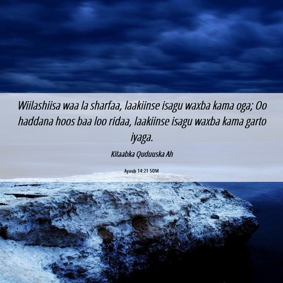 Picture 06 - Ayuub 14:21 SOM - Wiilashiisa waa la sharfaa, laakiinse isagu waxba - Bible Verse Picture