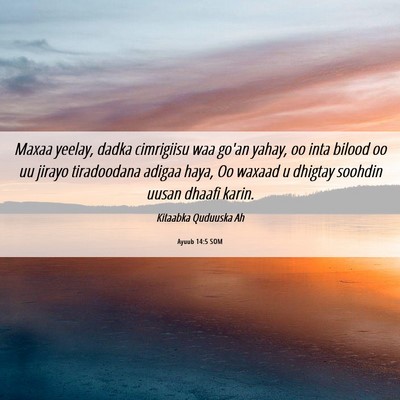Picture 06 - Ayuub 14:5 SOM - Maxaa yeelay, dadka cimrigiisu waa go'an yahay, - Bible Verse Picture
