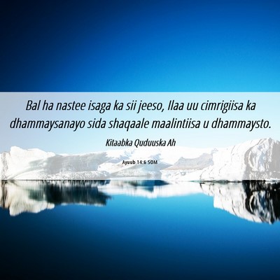 Picture 06 - Ayuub 14:6 SOM - Bal ha nastee isaga ka sii jeeso, Ilaa uu - Bible Verse Picture