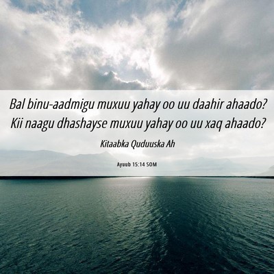 Picture 06 - Ayuub 15:14 SOM - Bal binu-aadmigu muxuu yahay oo uu daahir ahaado? - Bible Verse Picture