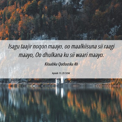 Picture 06 - Ayuub 15:29 SOM - Isagu taajir noqon maayo, oo maalkiisuna sii - Bible Verse Picture