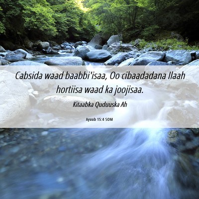 Picture 06 - Ayuub 15:4 SOM - Cabsida waad baabbi'isaa, Oo cibaadadana Ilaah - Bible Verse Picture