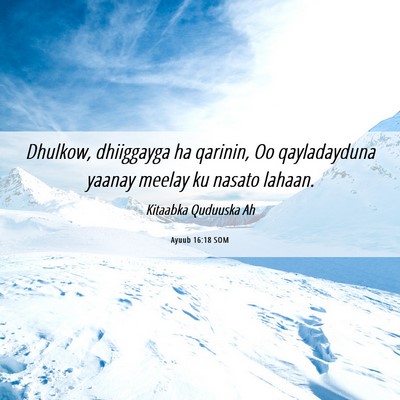 Picture 06 - Ayuub 16:18 SOM - Dhulkow, dhiiggayga ha qarinin, Oo qayladayduna - Bible Verse Picture