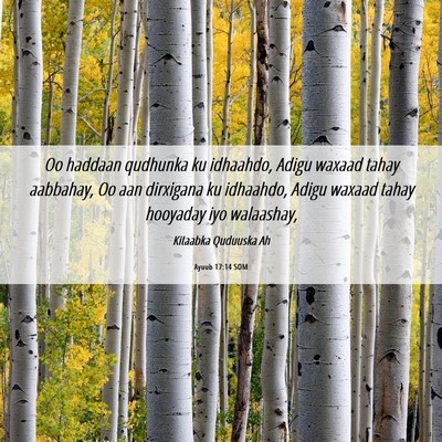 Picture 06 - Ayuub 17:14 SOM - Oo haddaan qudhunka ku idhaahdo, Adigu waxaad - Bible Verse Picture