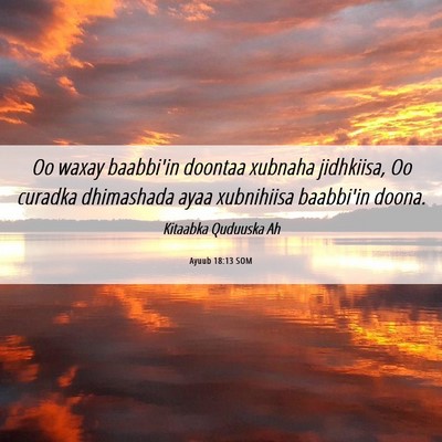 Picture 06 - Ayuub 18:13 SOM - Oo waxay baabbi'in doontaa xubnaha jidhkiisa, Oo - Bible Verse Picture