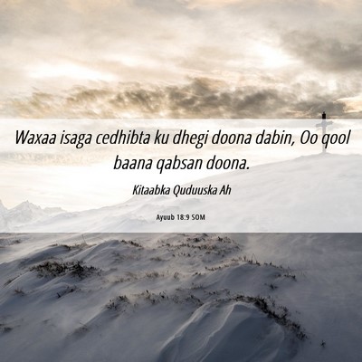 Picture 06 - Ayuub 18:9 SOM - Waxaa isaga cedhibta ku dhegi doona dabin, Oo - Bible Verse Picture