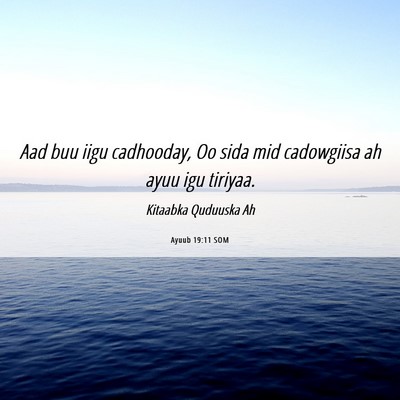 Picture 06 - Ayuub 19:11 SOM - Aad buu iigu cadhooday, Oo sida mid cadowgiisa ah - Bible Verse Picture