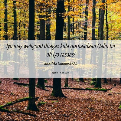 Picture 06 - Ayuub 19:24 SOM - Iyo inay weligood dhagax kula qornaadaan Qalin - Bible Verse Picture