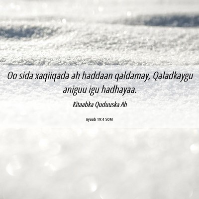 Picture 06 - Ayuub 19:4 SOM - Oo sida xaqiiqada ah haddaan qaldamay, Qaladkaygu - Bible Verse Picture