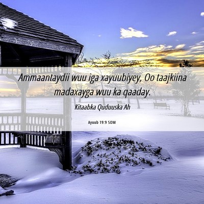 Picture 06 - Ayuub 19:9 SOM - Ammaantaydii wuu iga xayuubiyey, Oo taajkiina - Bible Verse Picture